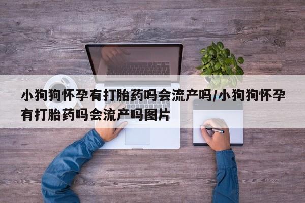 打胎药全国包邮微信小狗狗怀孕有打胎药吗会流产吗/小狗狗怀孕有打胎药吗会流产吗图片