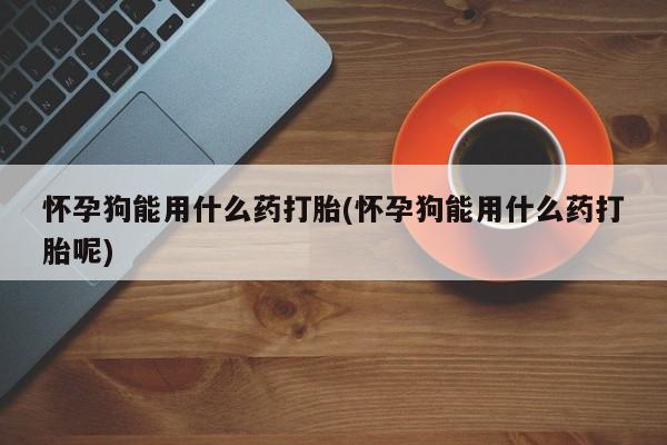打胎药全国包邮微信怀孕狗能用什么药打胎(怀孕狗能用什么药打胎呢)
